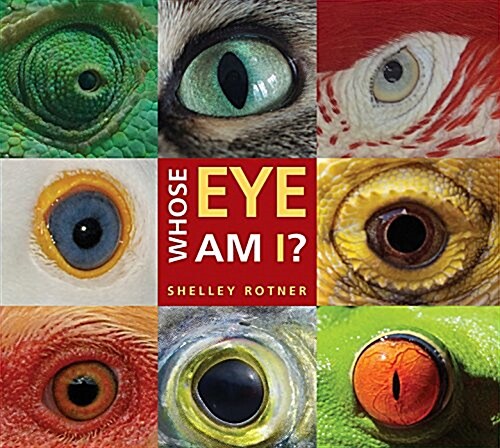 Whose Eye Am I? (Paperback)