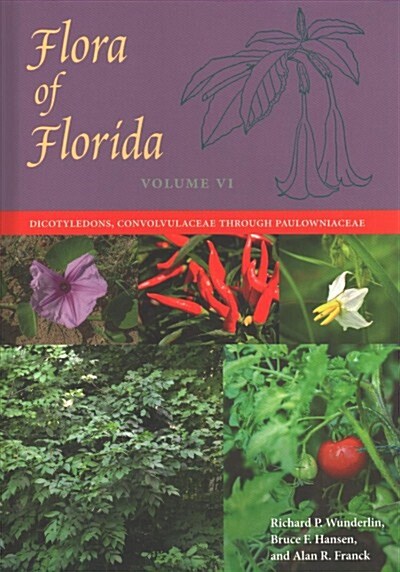 Flora of Florida, Volume VI: Dicotyledons, Convolvulaceae Through Paulowniaceae (Hardcover)