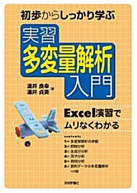 實習 多變量解析入門　~Excel演習でムリなくわかる (大型本)