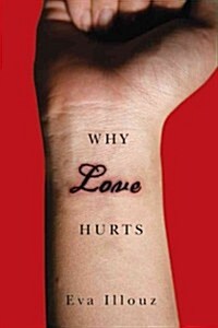 Why Love Hurts : A Sociological Explanation (Hardcover)