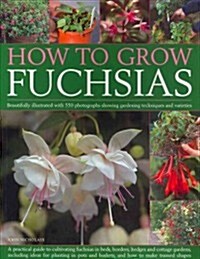 How to Grow Fuchsias (Paperback)