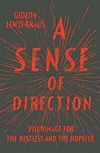 [중고] A Sense of Direction (Hardcover)