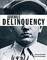 Juvenile Delinquency (Paperback)