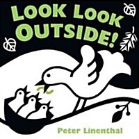 Look Look Outside! (Board Books)