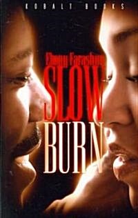 Slow Burn (Paperback)