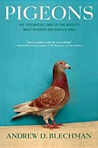 Pigeons: The Fascinating Saga of the Worlds Most Revered and Reviled Bird (Paperback)