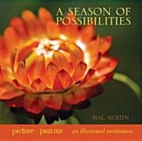 A Season of Possibilities (Hardcover, Illustrated)
