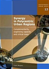 Synergy in Polycentric Urban Regions (Paperback)