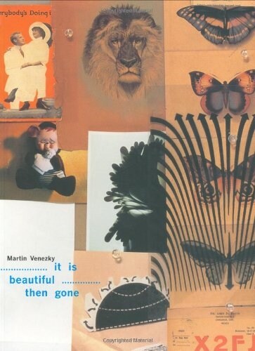 It Is Beautiful Then Gone (Paperback)