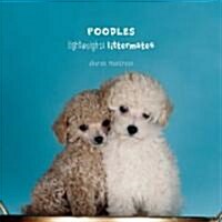 [중고] Poodles (Hardcover)