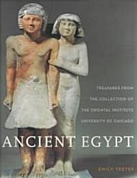 Ancient Egypt: Treasures from the Collection of the Oriental Institute (Paperback)