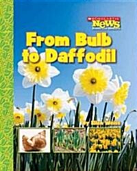 From Bulb to Daffodil (Library Binding)