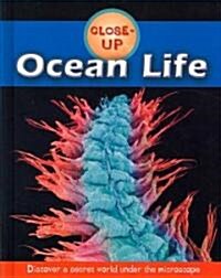 Ocean Life (Hardcover)