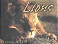 Lions (Library)