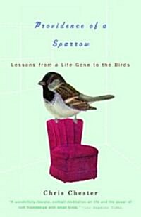 Providence of a Sparrow: Lessons from a Life Gone to the Birds (Paperback)