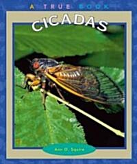 Cicadas (Paperback)