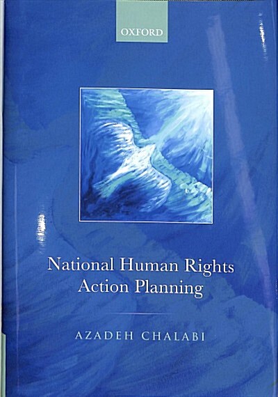 National Human Rights Action Planning (Hardcover)