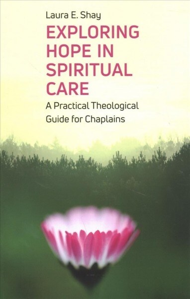 Exploring Hope in Spiritual Care : A Practical Theological Guide for Chaplains (Paperback)