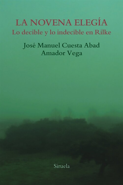 LA NOVENA ELEGIA (Paperback)