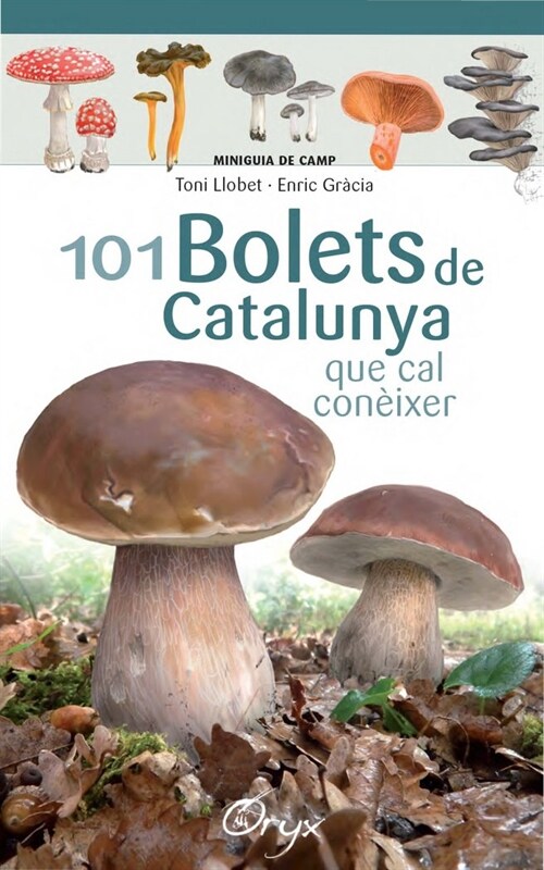 101 BOLETS DE CATALUNYA (Paperback)