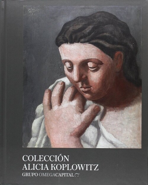 COLECCION ALICIA KOPLOWITZ (CAT.EXPOSICION) (Hardcover)