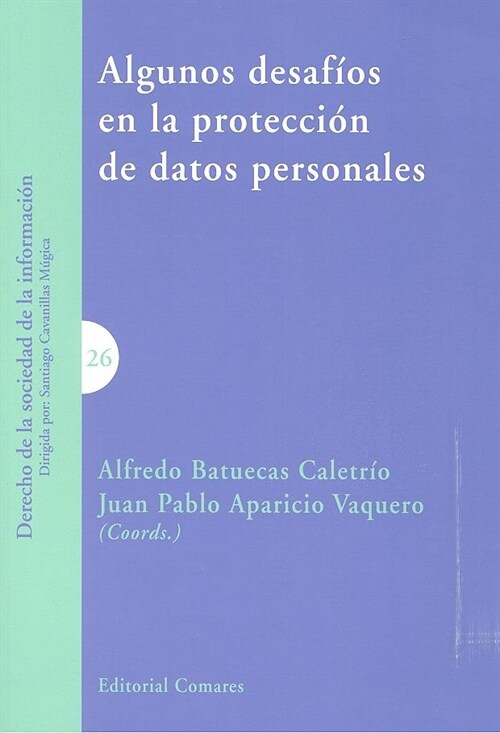 ALGUNOS DESAFIOS EN LA PROTECCION DE DATOS PERSONALES (Paperback)