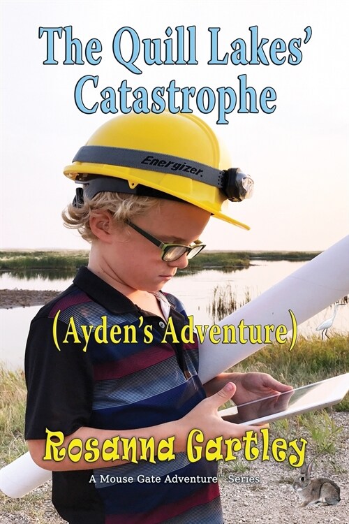 Cleaning Up the Quill Lakes Catastrophe: (aydens Adventure) (Paperback)