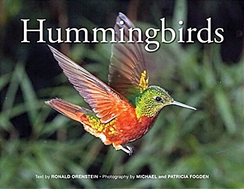 Hummingbirds (Paperback)