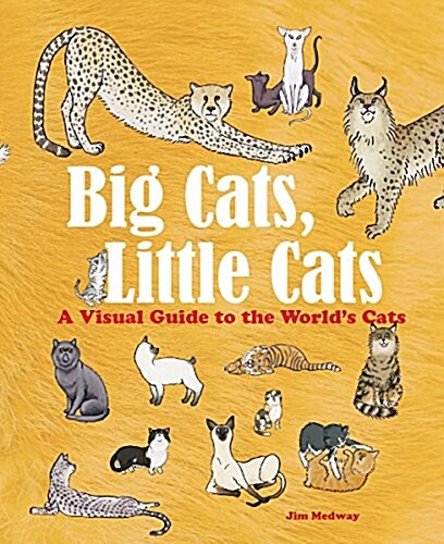 Big Cats, Little Cats: A Visual Guide to the Worlds Cats (Hardcover)