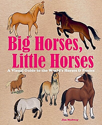 Big Horses, Little Horses: A Visual Guide to the Worlds Horses and Ponies (Hardcover)