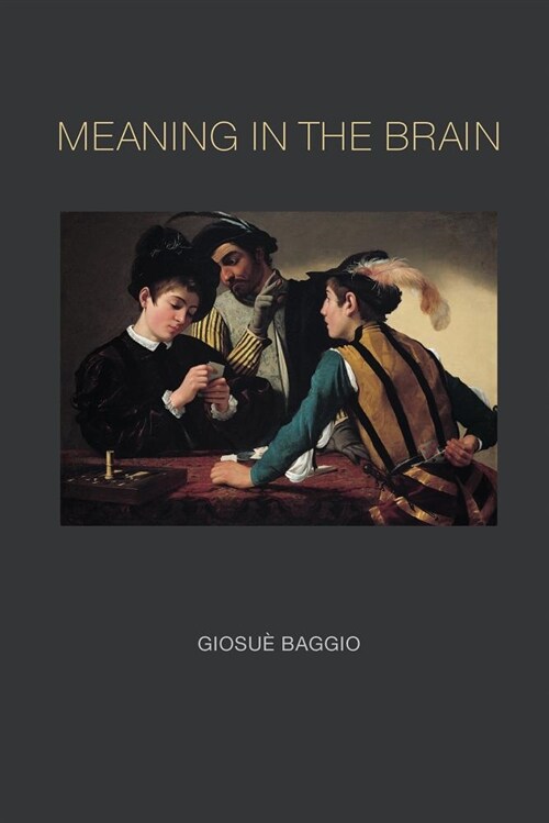 Meaning in the Brain (Hardcover)