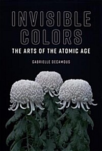 Invisible Colors: The Arts of the Atomic Age (Hardcover)