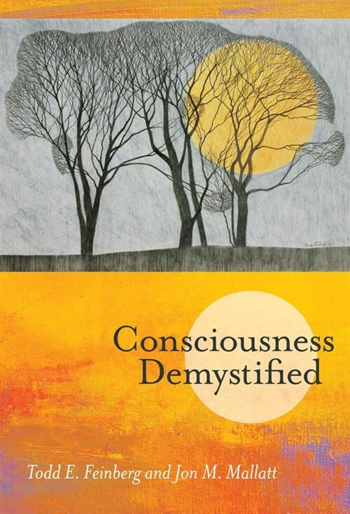 Consciousness Demystified (Hardcover)