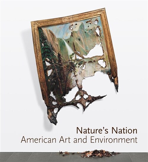 Natures Nation: American Art and Environment (Hardcover)