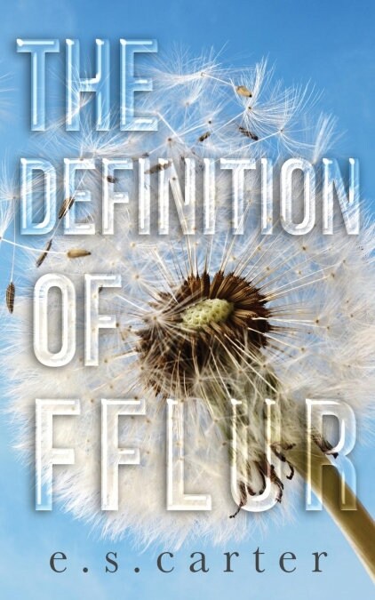 The Definition of Fflur (Paperback)