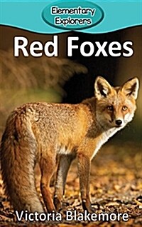 Red Foxes (Hardcover)