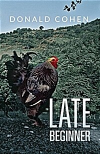Late Beginner (Paperback)
