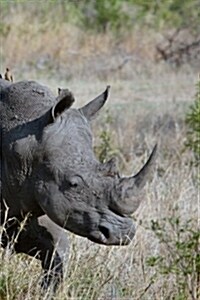 Great Rhino on the Savannah with 3 Bird Friends: 150 Page Lined 6 X 9 Notebook/Diary/Journal (Paperback)