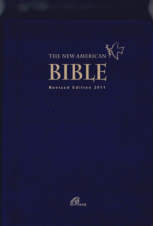 [남색] The New American Bible (大)