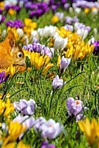 Cute Squirrel Playing Amidst Crocus Flowers: Notebook, 150 Lined Pages, Softcover, 6 X 9 (Paperback)