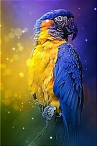 Majestic Macaw Parrot: Notebook,150 Lined Pages, Softcover, 6 x 9 (Paperback)