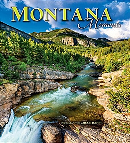 Montana Moments (Hardcover)