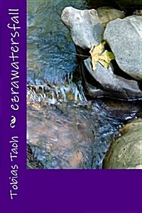 Ezrawatersfall (Paperback)