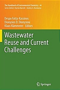 Wastewater Reuse and Current Challenges (Paperback)