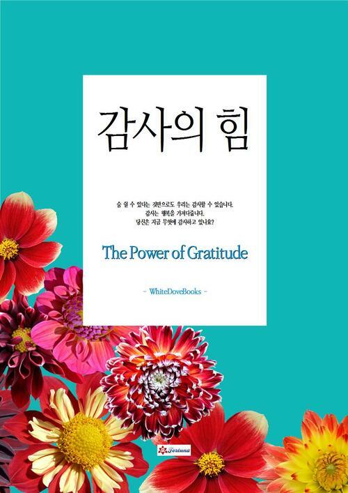 감사의 힘 커버