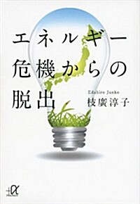 エネルギ-危機からの脫出 (講談社+α文庫) (文庫)