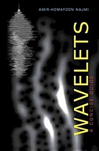 Wavelets: A Concise Guide (Hardcover)