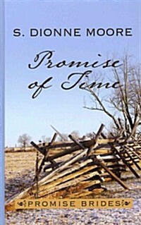 Promise of Time (Hardcover, Large Print)