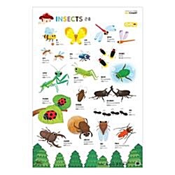 NEW 세이차트 곤충 (다국어로 말하는 벽그림)