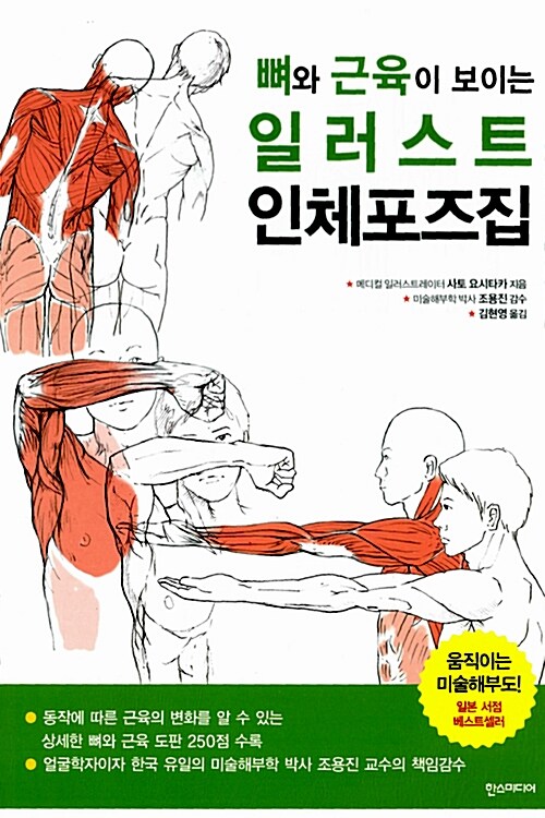 [중고] 뼈와 근육이 보이는 일러스트 인체포즈집